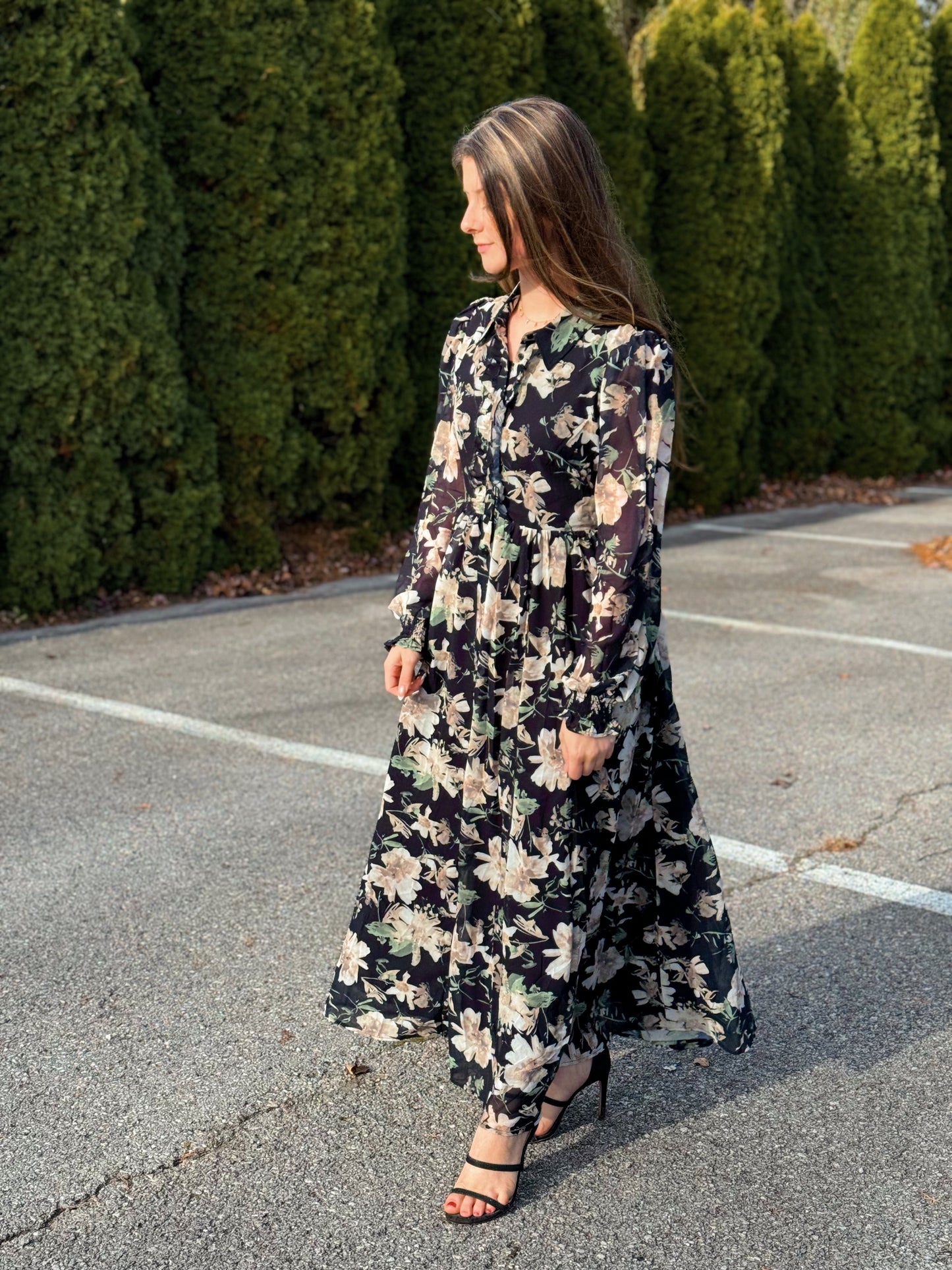 Carefree, Floral Chiffon Maxi Dress